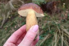 120557323_345755113426171_4408302932738714339_n