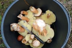 120577636_1048619148907329_7313941420382328819_n