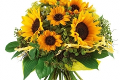 teaserbox_63673494ab64