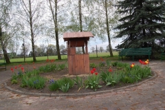 cache_56955231358d