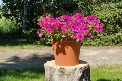 20190604_100741