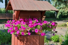 20190604_100946