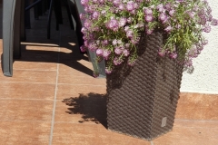 20190604_101140