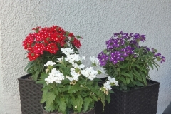 20190604_101413