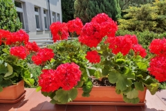 20190629_113341