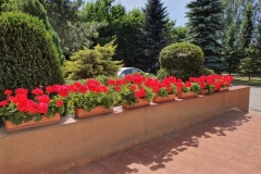 20190629_113357