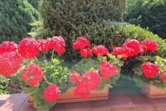 20190629_113412