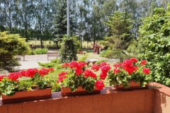 20190629_113427