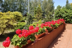 20190629_113438