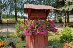 20190629_113508