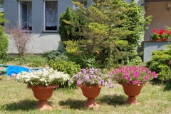20190629_113531