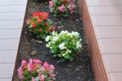 20190629_115450
