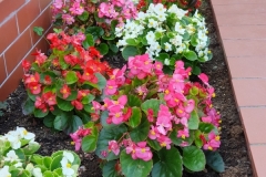 20190629_115530