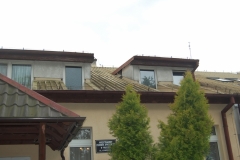 DSC_0281