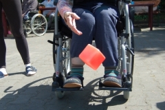 DSC_0113