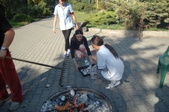 cache_49382339e7b9 (1)