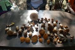 119566533_355056025632914_5423167472012270697_n