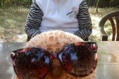 119576563_764801657633255_3280004781449879391_n