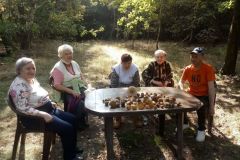 119586998_644076352910645_3528487120351752569_n